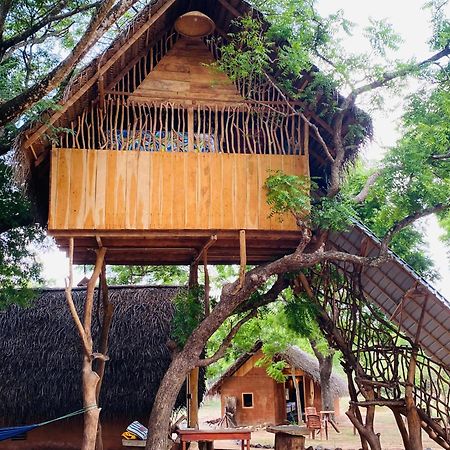 Yala Village Eco Tree House Tissamaharama Extérieur photo