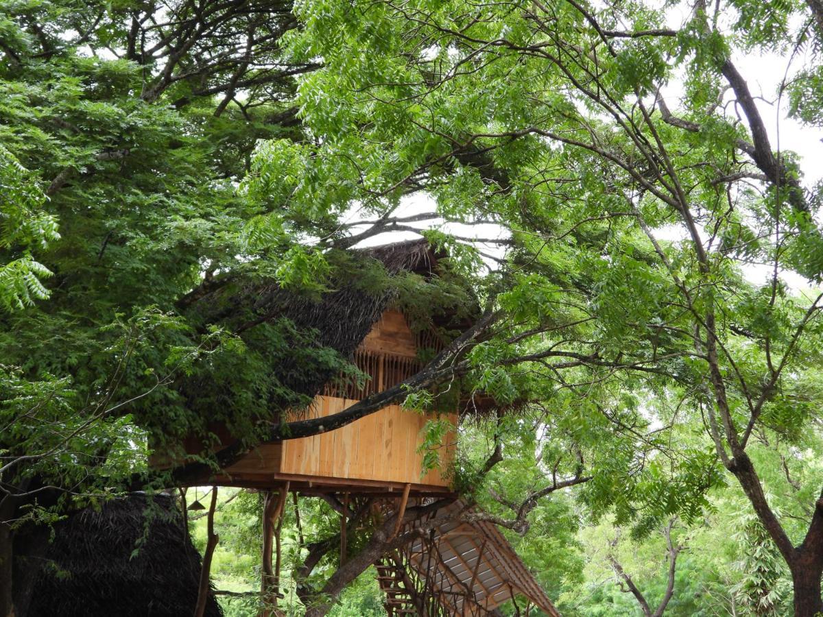 Yala Village Eco Tree House Tissamaharama Extérieur photo