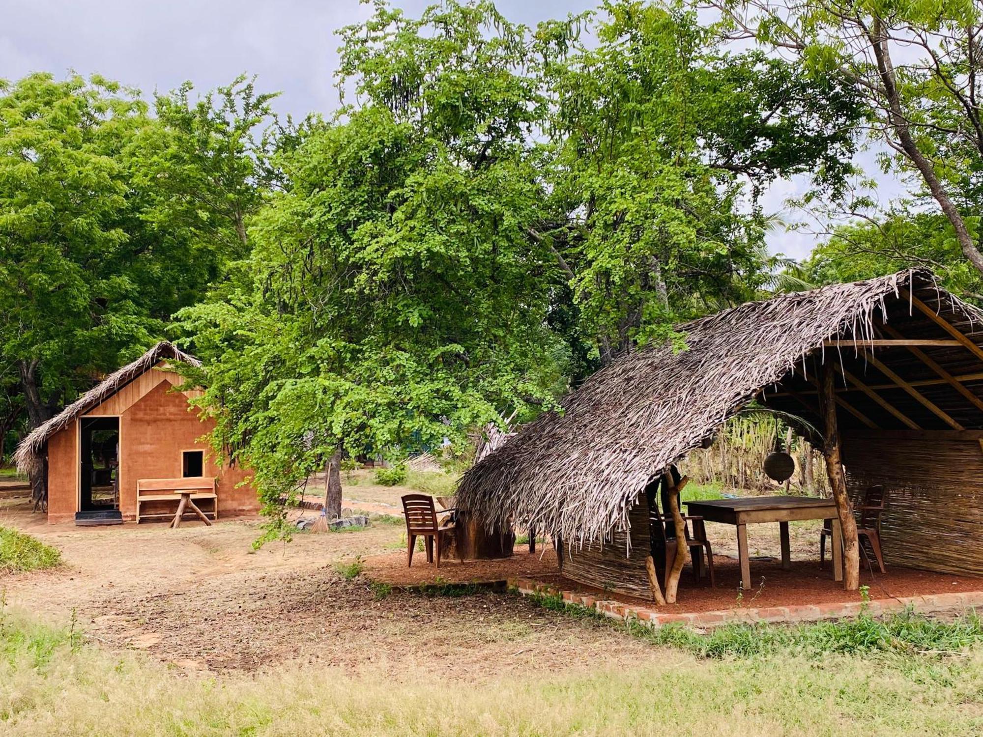 Yala Village Eco Tree House Tissamaharama Extérieur photo