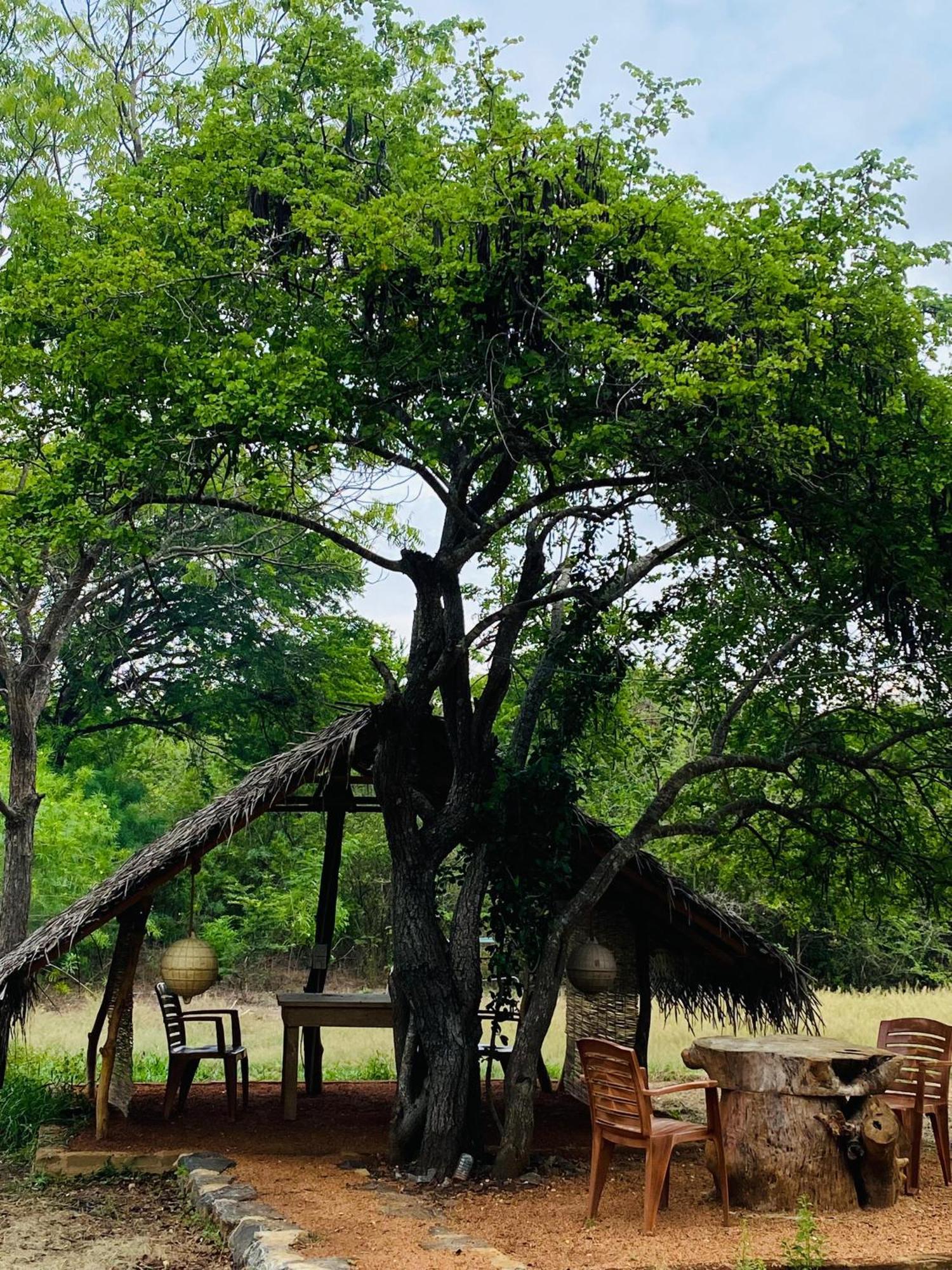 Yala Village Eco Tree House Tissamaharama Extérieur photo