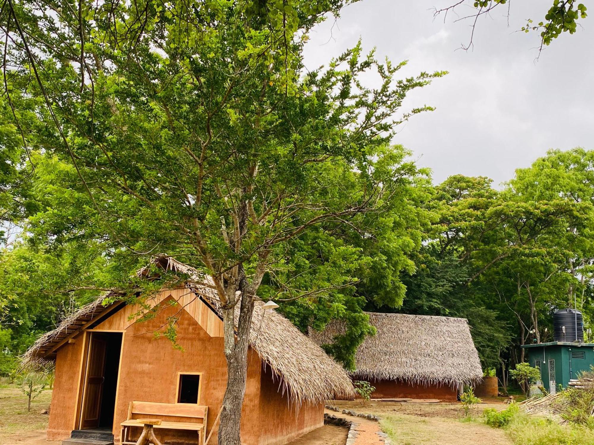 Yala Village Eco Tree House Tissamaharama Extérieur photo